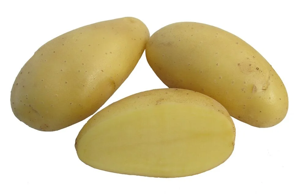 hankkija202609181303412540937