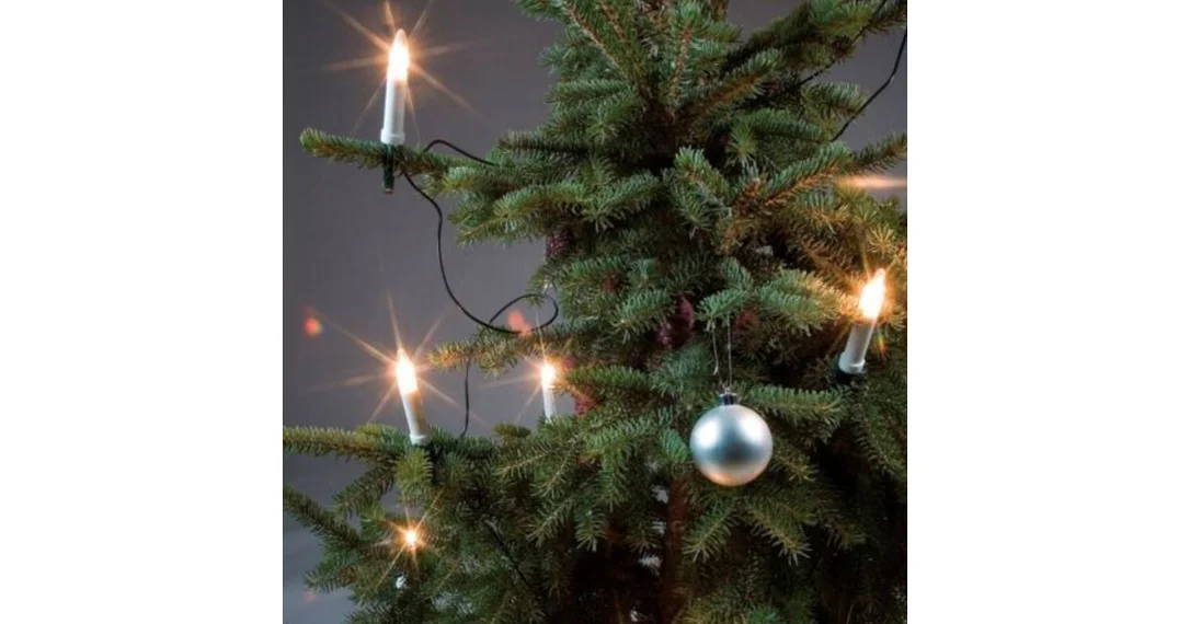 ostajanonni202609160455332159373